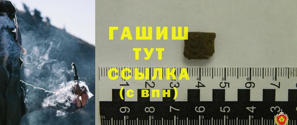 крисы Каменка