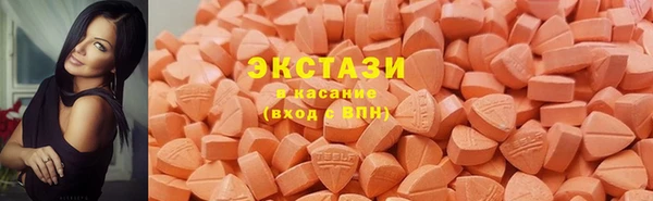 крисы Каменка