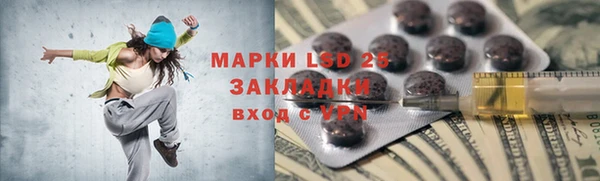 крисы Каменка