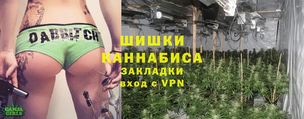 сатива Каменск-Шахтинский