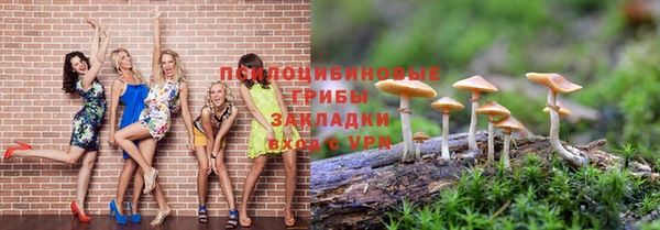 сатива Каменск-Шахтинский