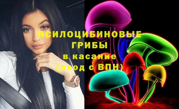 сатива Каменск-Шахтинский