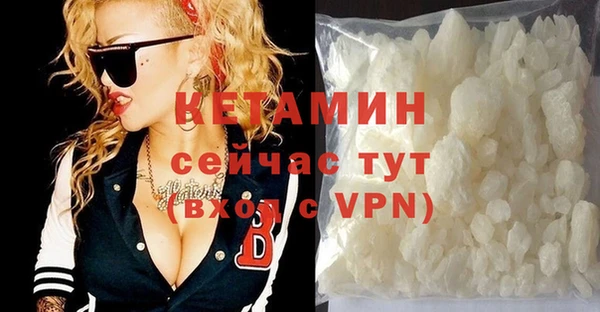 крисы Каменка