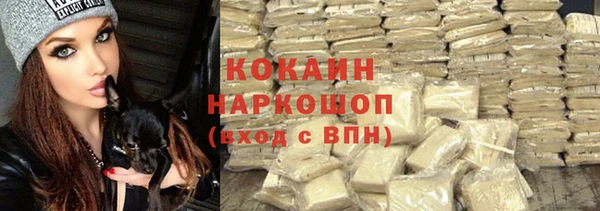 сатива Каменск-Шахтинский