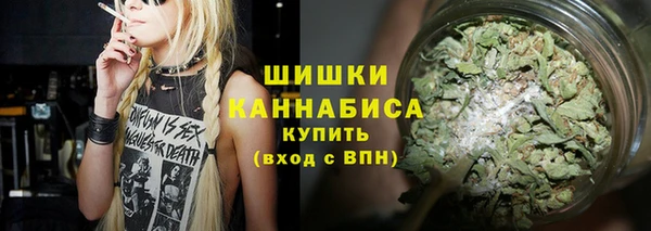 сатива Каменск-Шахтинский