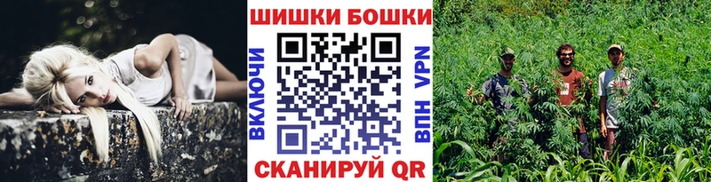 Купить Бородино Бошки марихуана индика